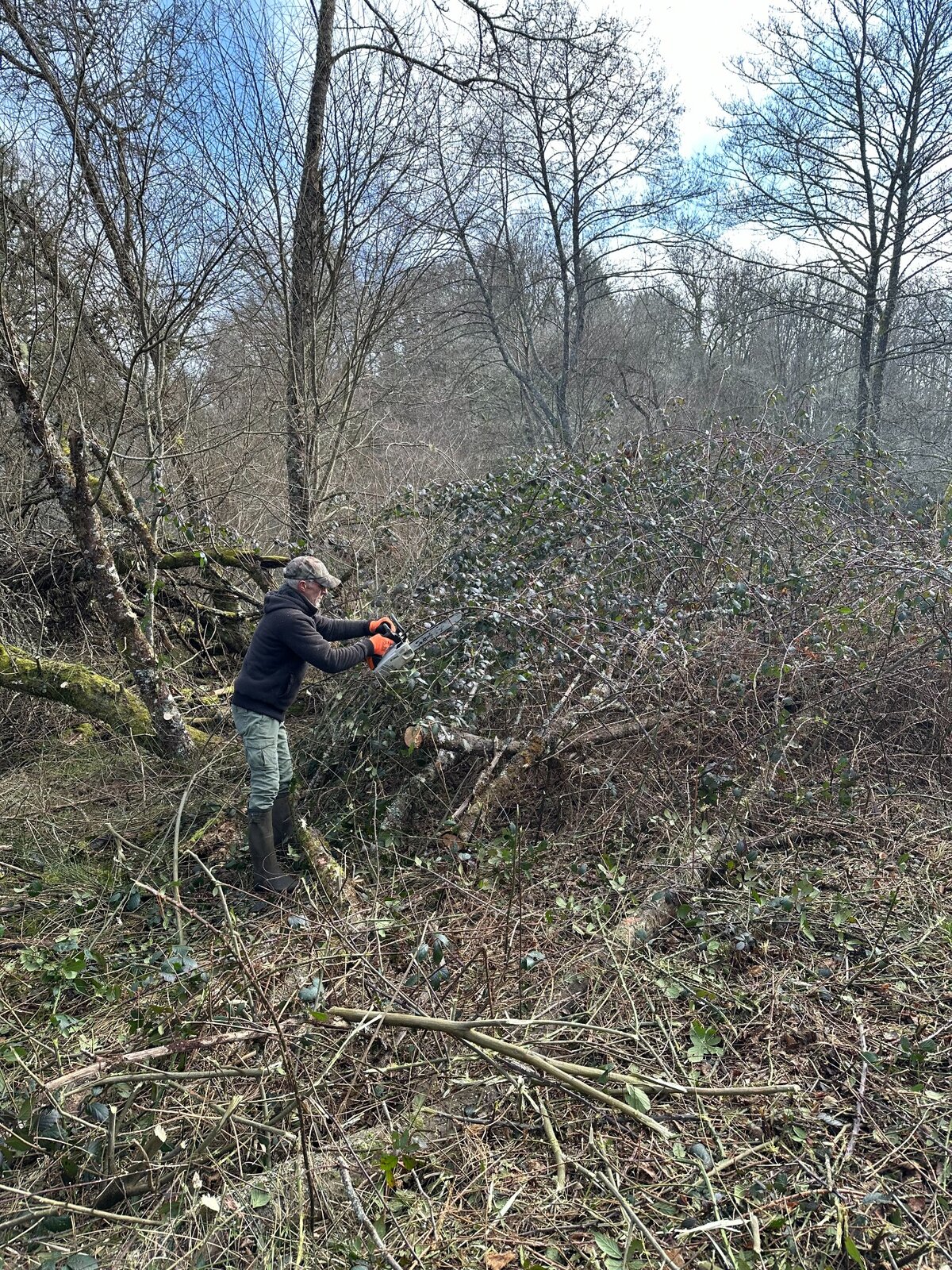 Un bénévole coupe des branches dans la végétation