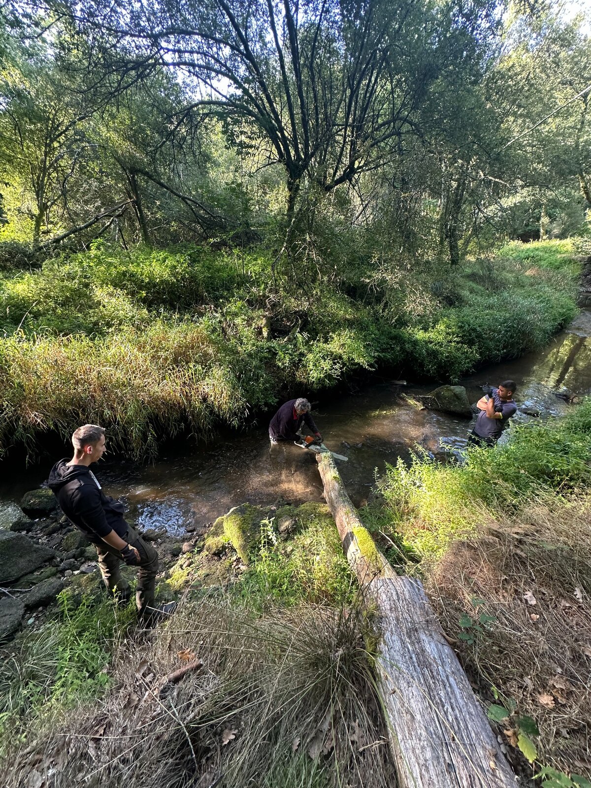 Bénévoles intervenant dans la rivière et sur ses berges