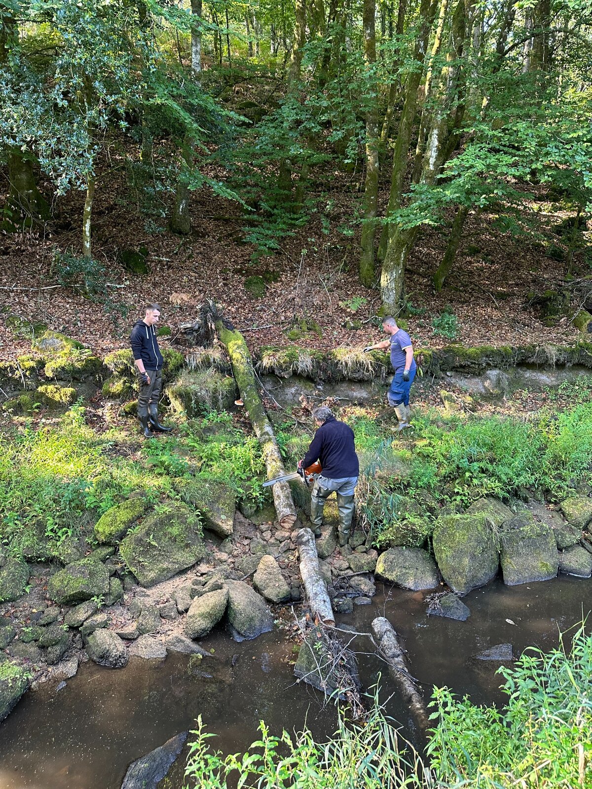 Des bénévoles travaillent près d’une berge pierreuse