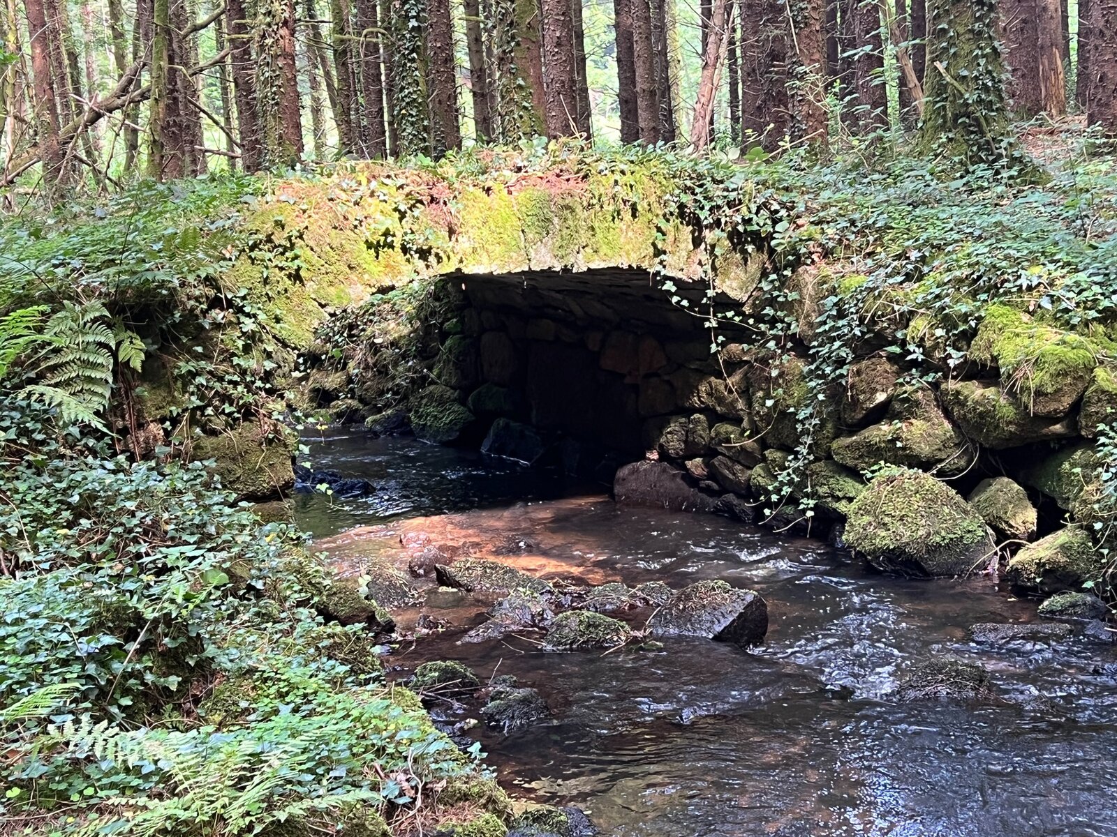 Passage de la Couze sous un petit pont de pierre moussu