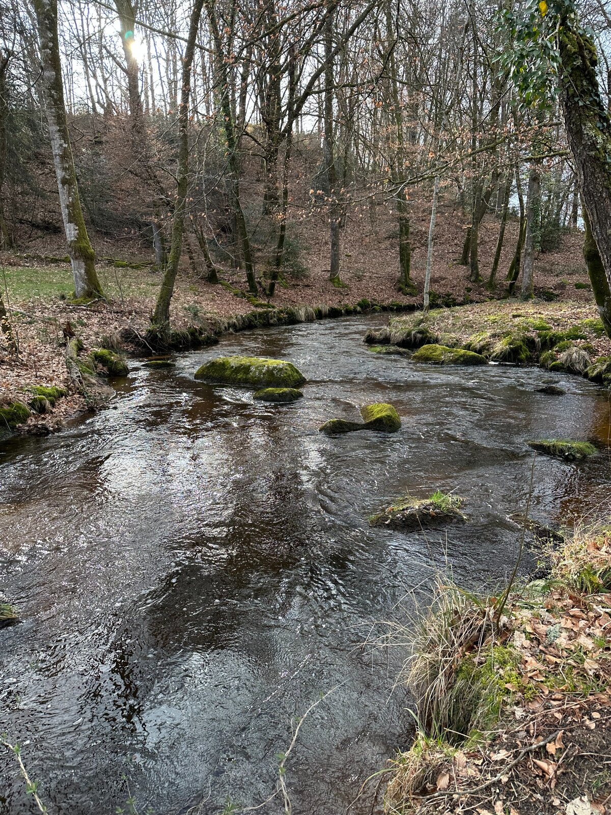 La Couze entre les arbres et les rochers en hiver
