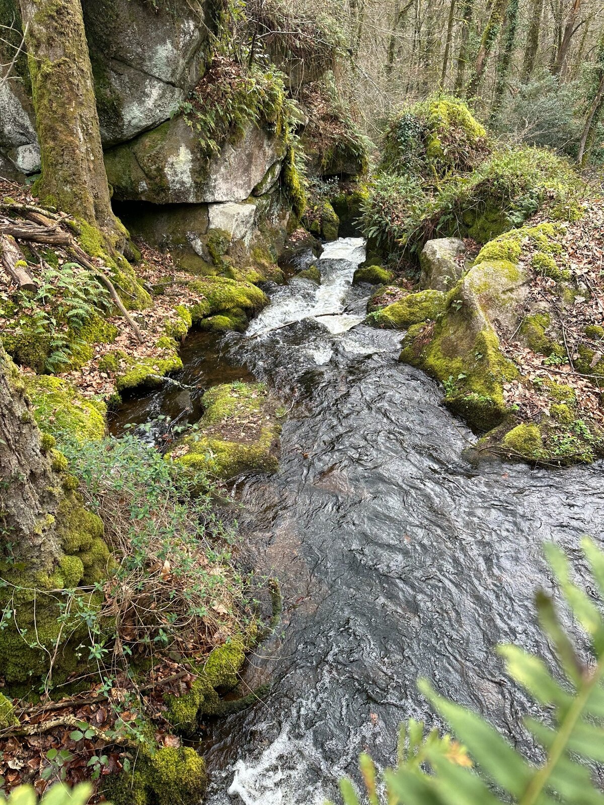 La Couze s’écoule entre des rochers moussus