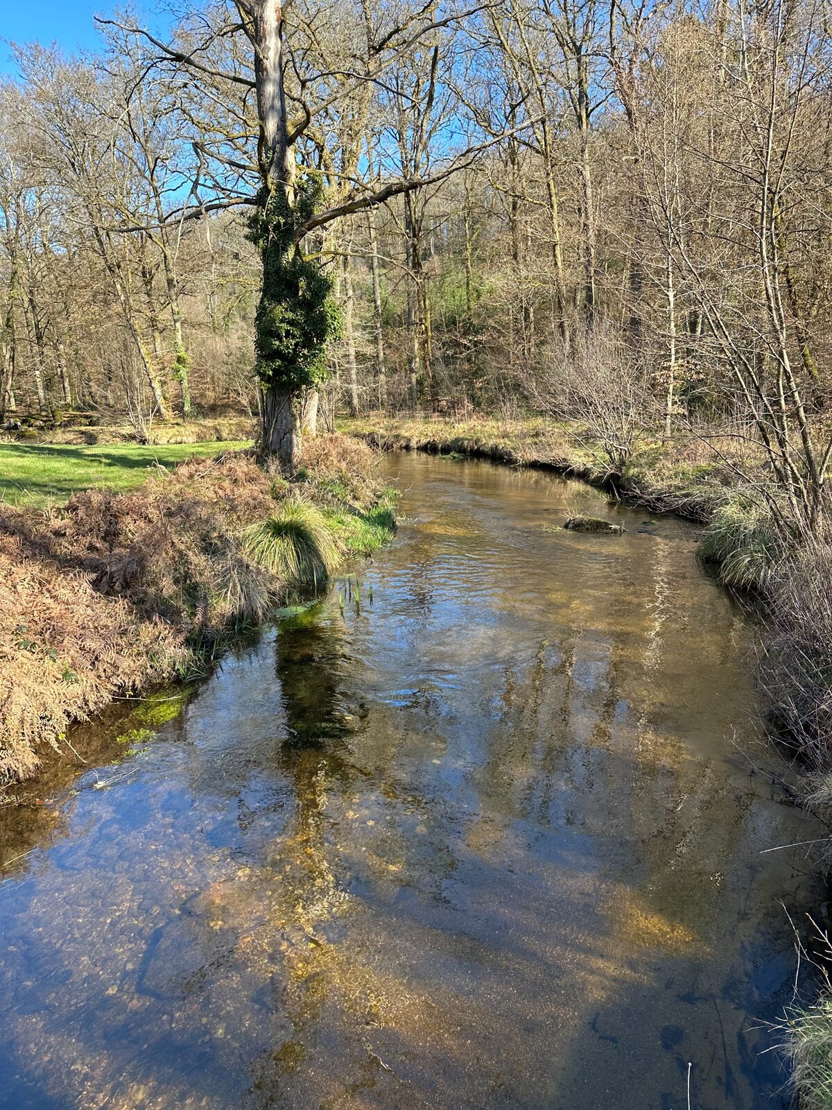 La Couze bordée d’arbres sous un ciel bleu