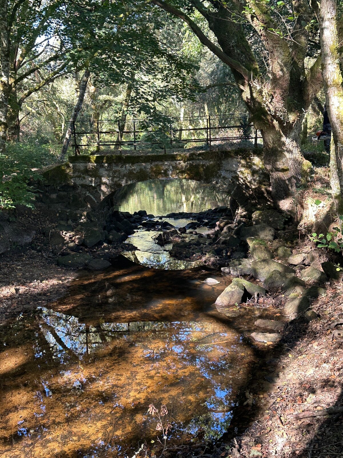 Un pont et les reflets des arbres sur la Couze