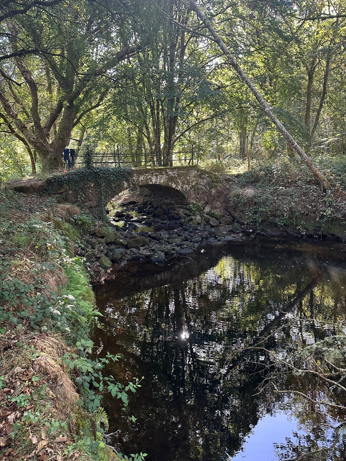 La Couze sous les arbres près d’un pont de pierre