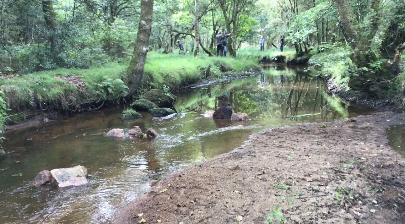 La Couze en sous-bois, entre les berges herbeuses et les rochers