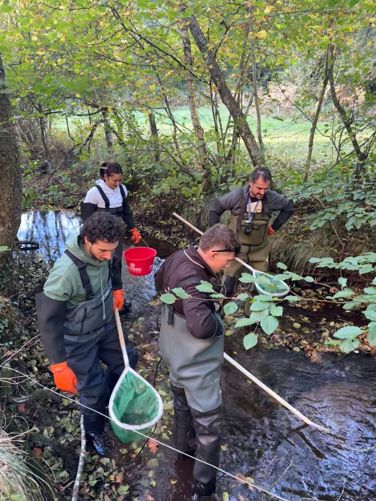 Équipe d’inventaire dans le cours d’eau avec épuisettes et matériel
