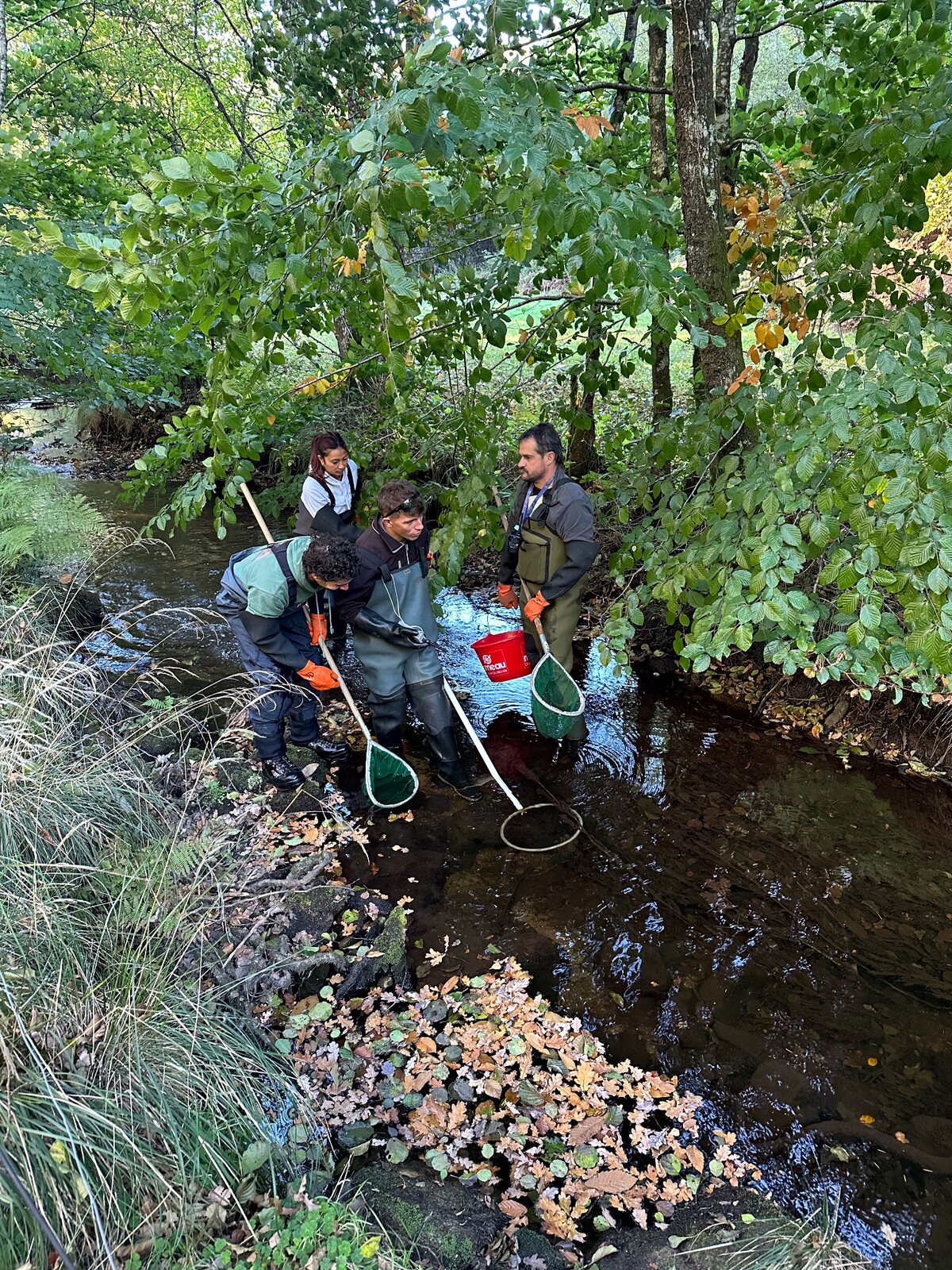 Deux participants à l’inventaire sur une berge boisée