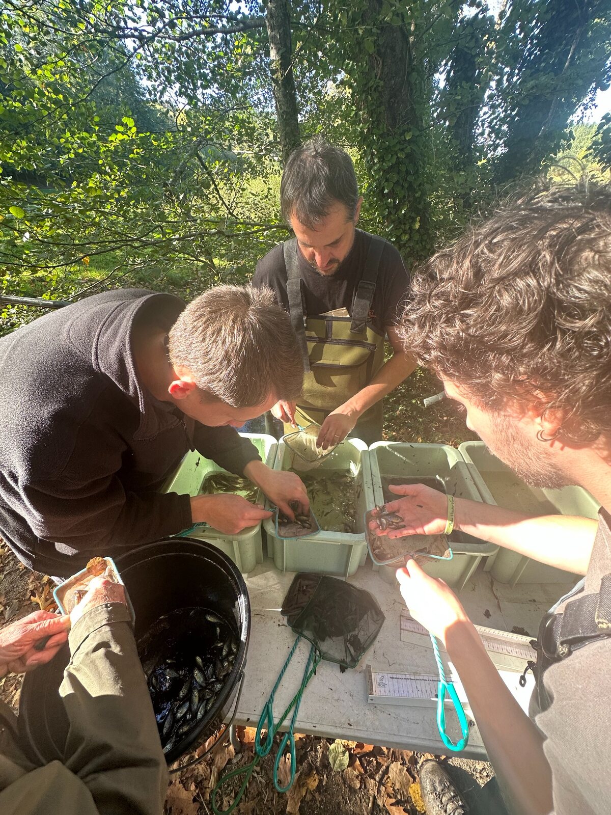 Participants examinant des poissons et les données de l’inventaire