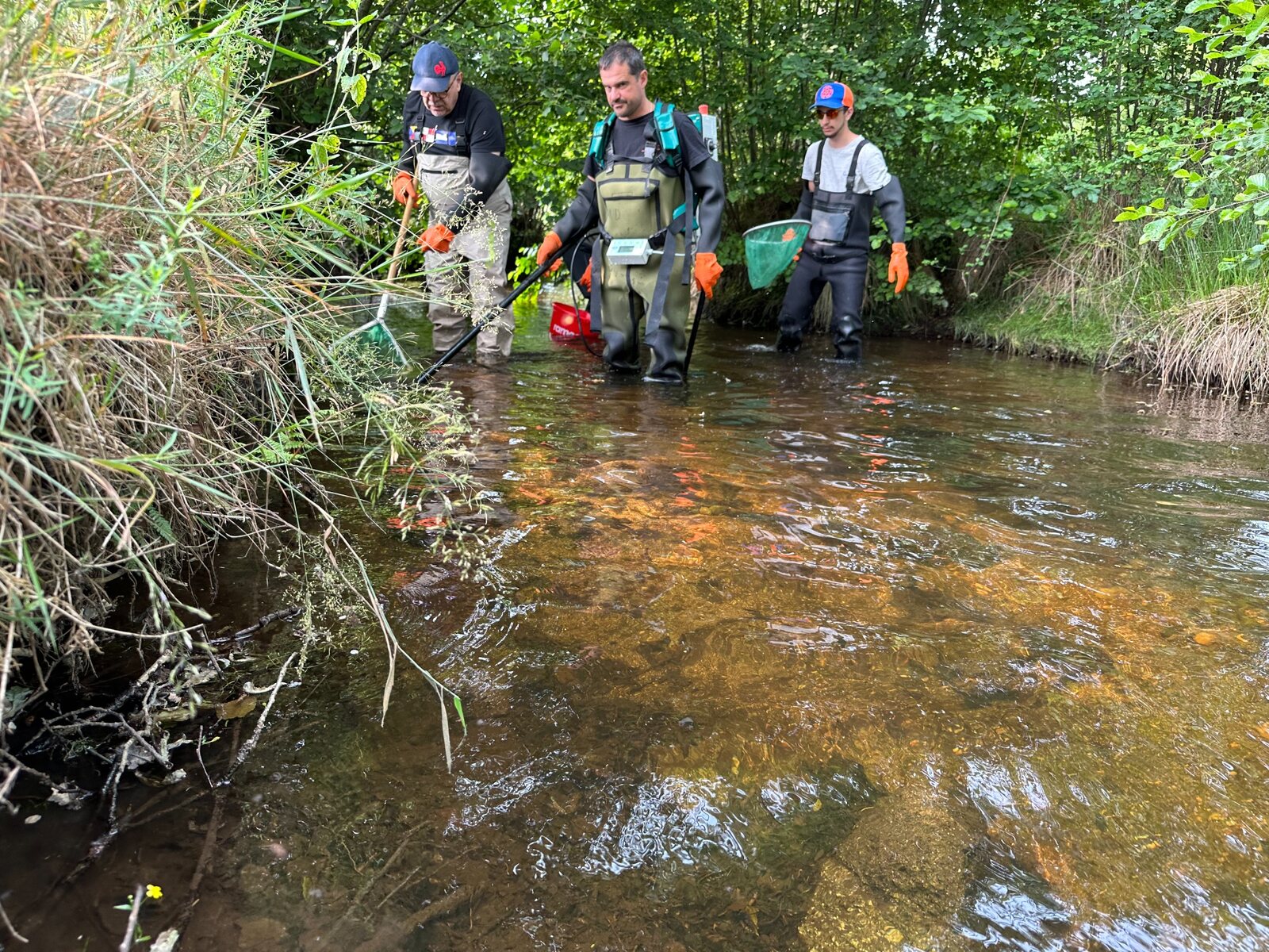 Agents réalisant une prospection piscicole dans le cours d’eau