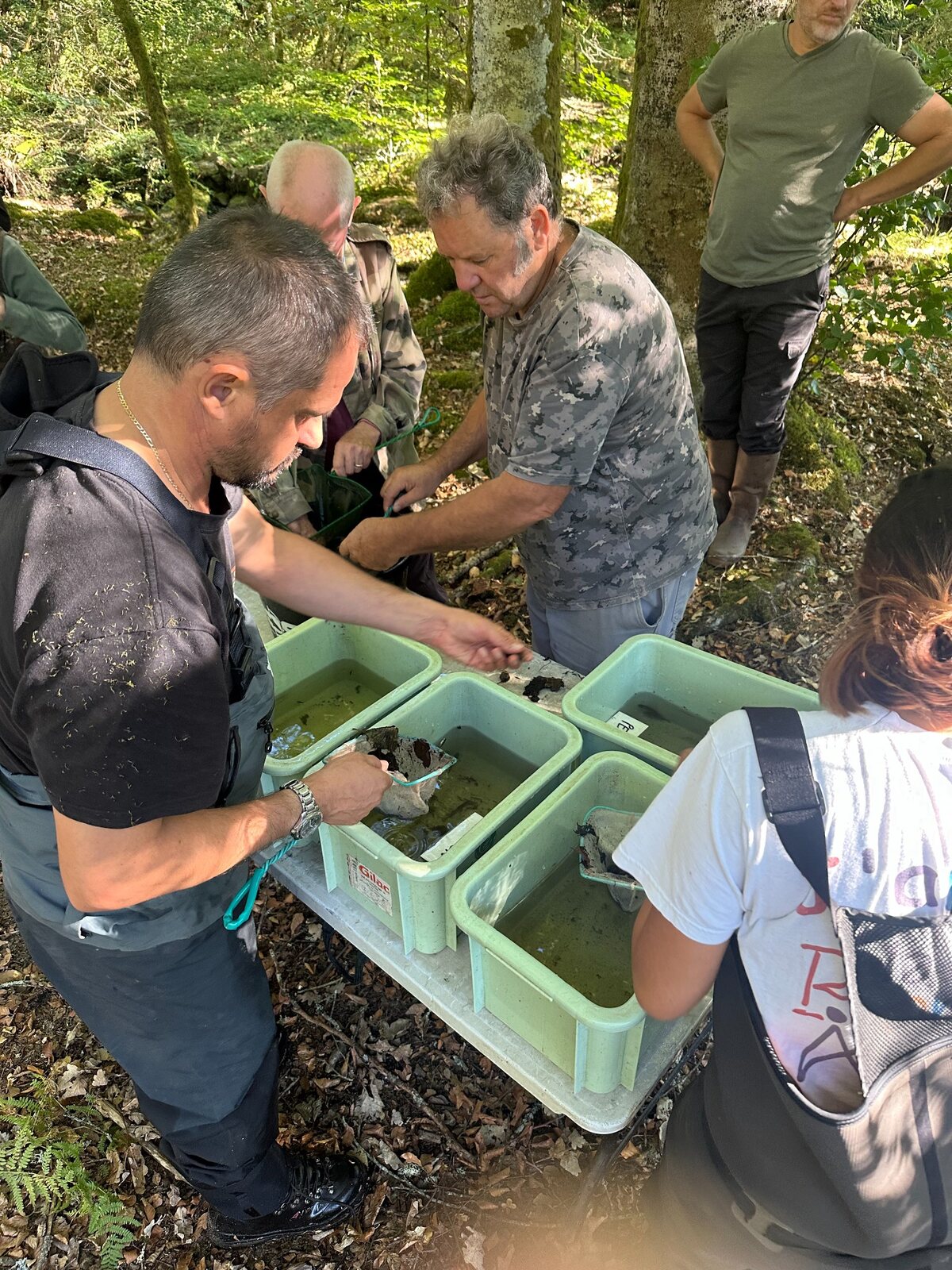 Participants observant des poissons dans des bacs